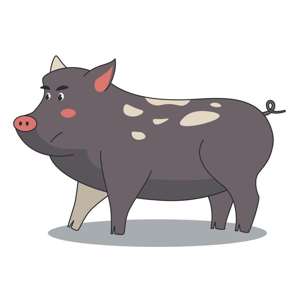 Cerdo de jabalí negro serio en estilo de dibujos animados para niños, grandes ilustraciones de animales mamíferos aislados. vector