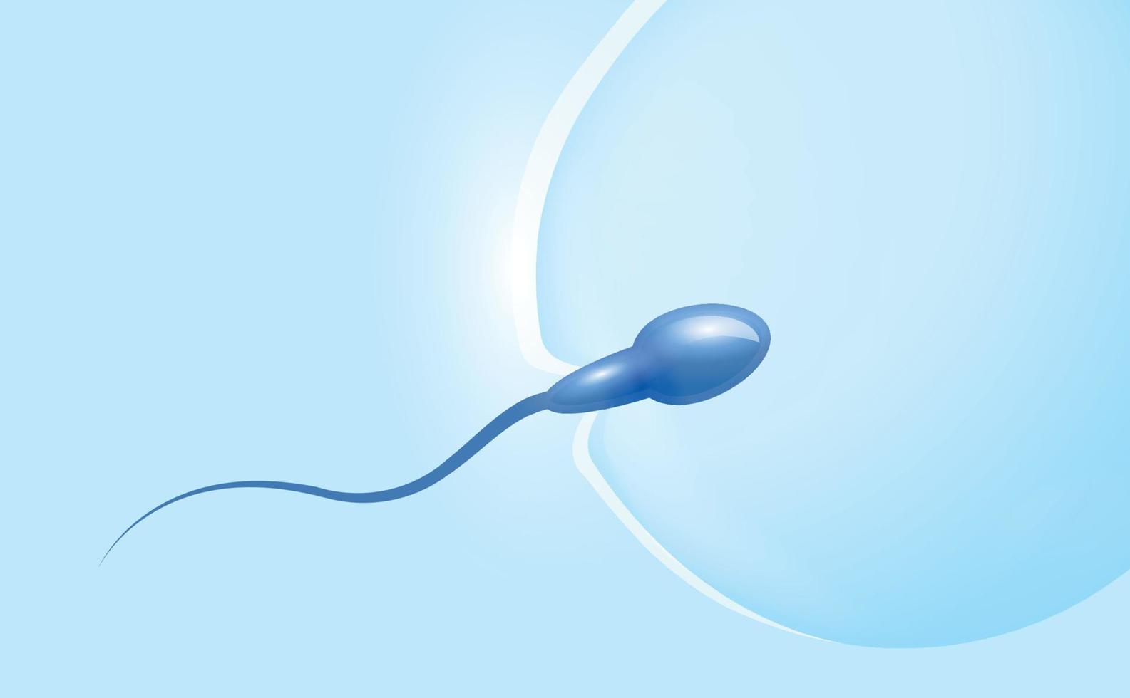 Penetration of spermatozoa into the female egg. The concept of in vitro fertilization. The process of the origin of life. Medical information poster. Vector illustration