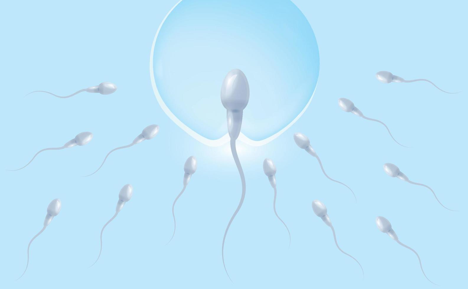 Penetration of spermatozoa into the female egg. The concept of in vitro fertilization. Medical information poster. Vector illustration