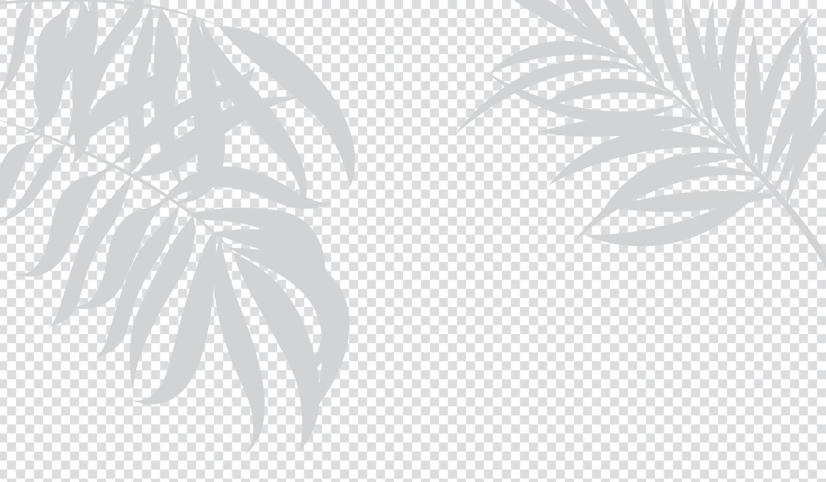 Transparent shadow effects. Vector with shadow overlays on transparent background. Vector transparent shadows of palm leaf, leaves