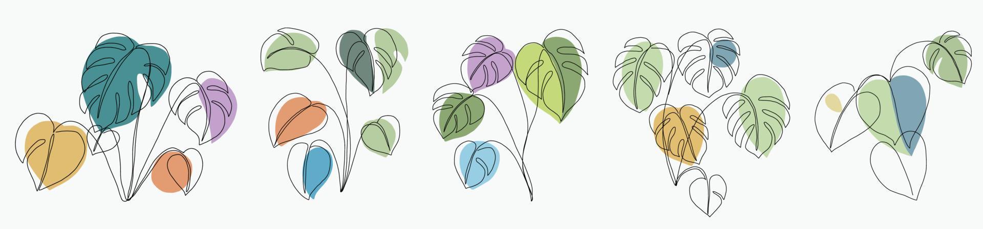 Simplicity monstera leaf freehand continuous line drawing flat design. vector