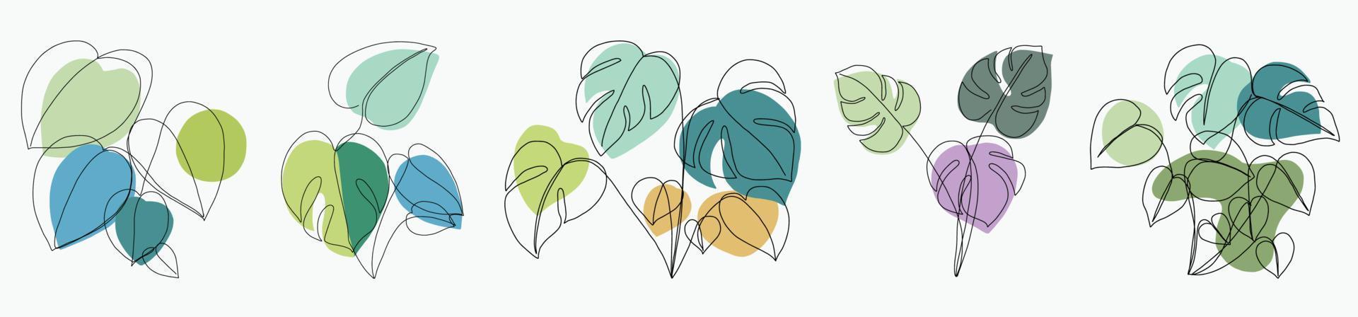 Simplicity monstera leaf freehand continuous line drawing flat design. vector