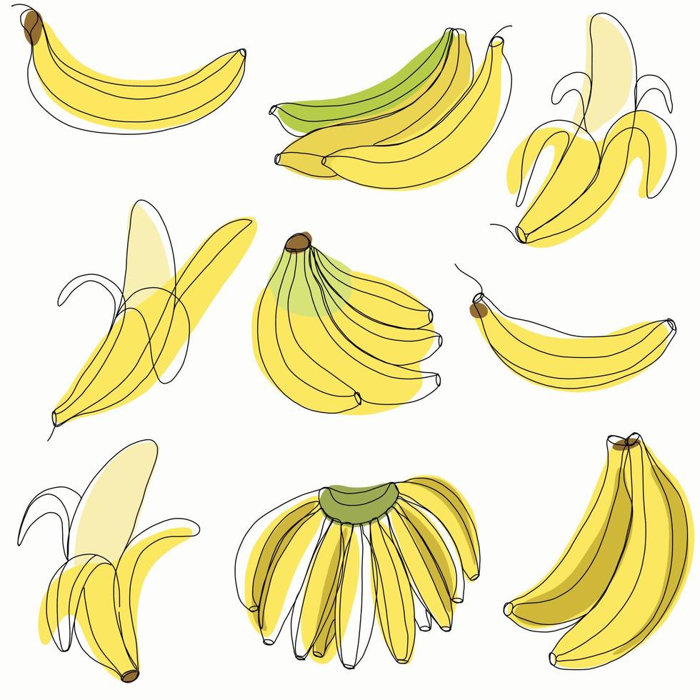 Simplicity banana fruit freehand continuous line drawing flat design collection. vector