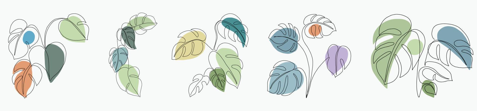 Simplicity monstera leaf freehand continuous line drawing flat design. vector