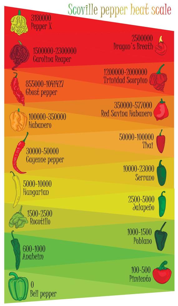 Scoville pepper heat scale. Pepper illustration from sweetest to very hot on color background. vector