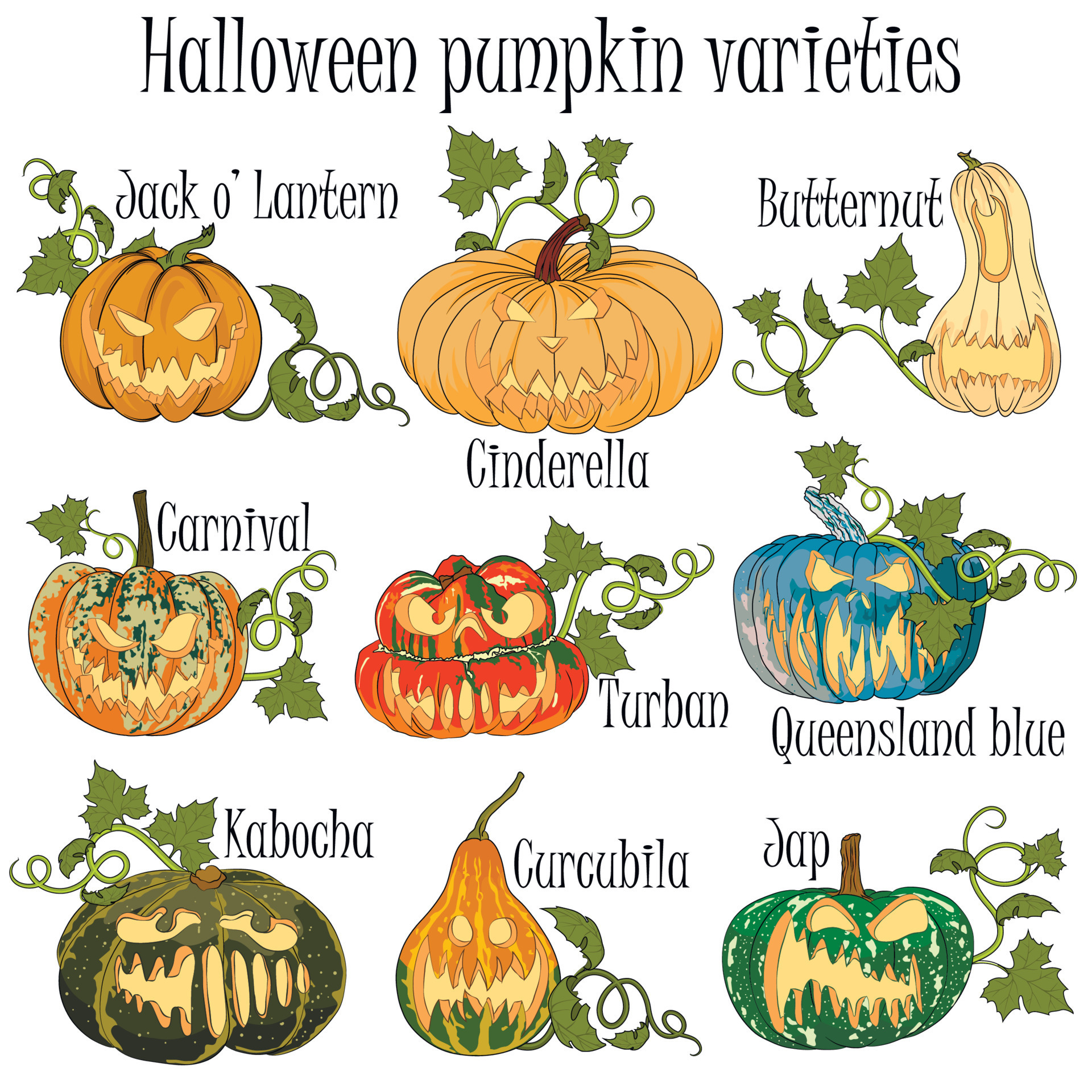 pumpkin-varieties-with-decoration-for-halloween-hand-drawn-pumpkins
