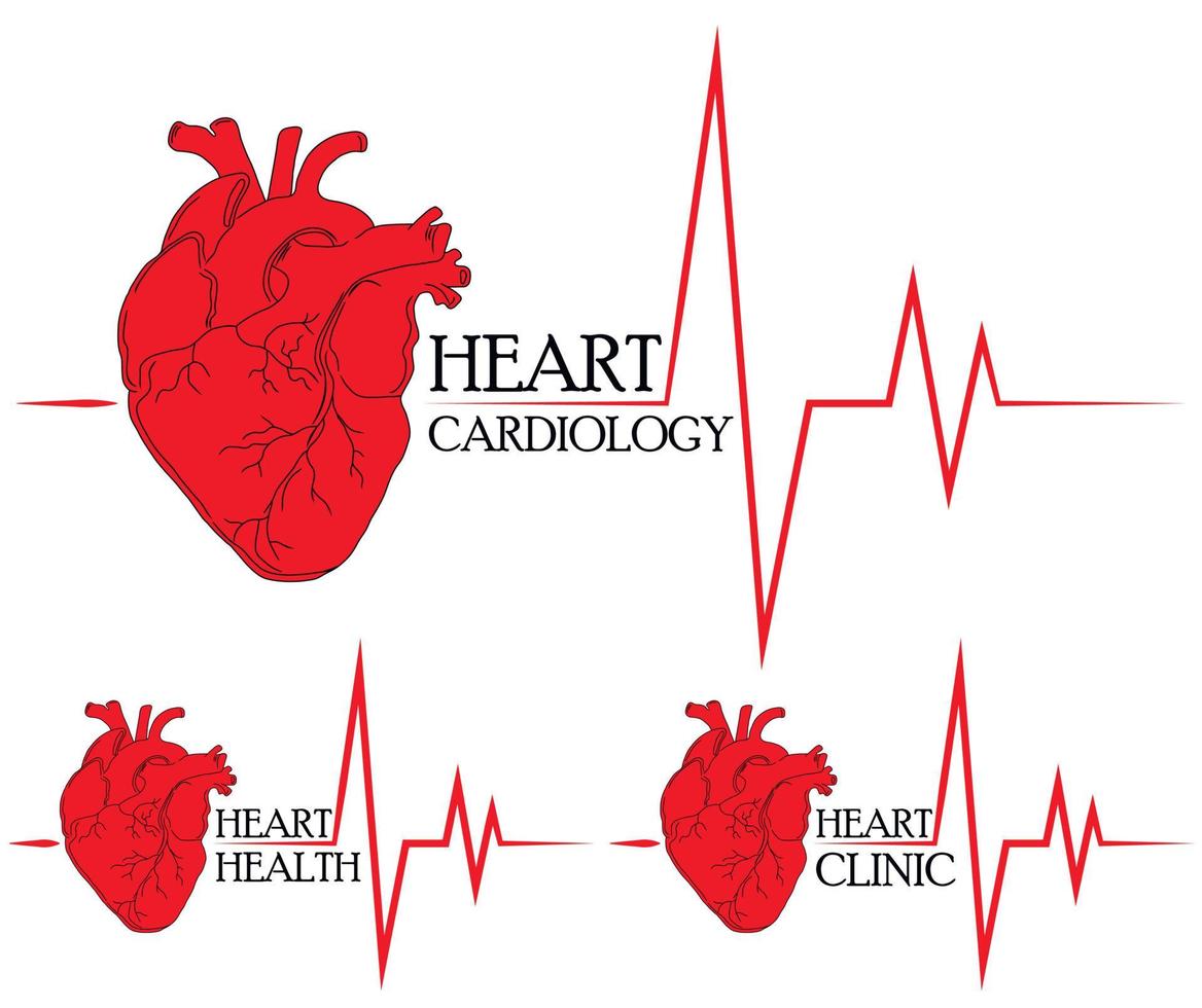 Anatomical drawing of the heart. Background for brochures, booklets, flyers. Set of red hearts icons for heart clinic, heart health center and heart cardiology. vector