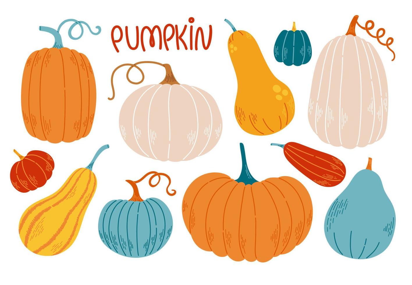 conjunto de calabaza diferentes colores y tamaños diseño plano ilustración vectorial vector