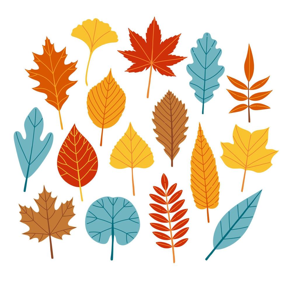 Autumn leaves different colors and sizes flat design vector illustration