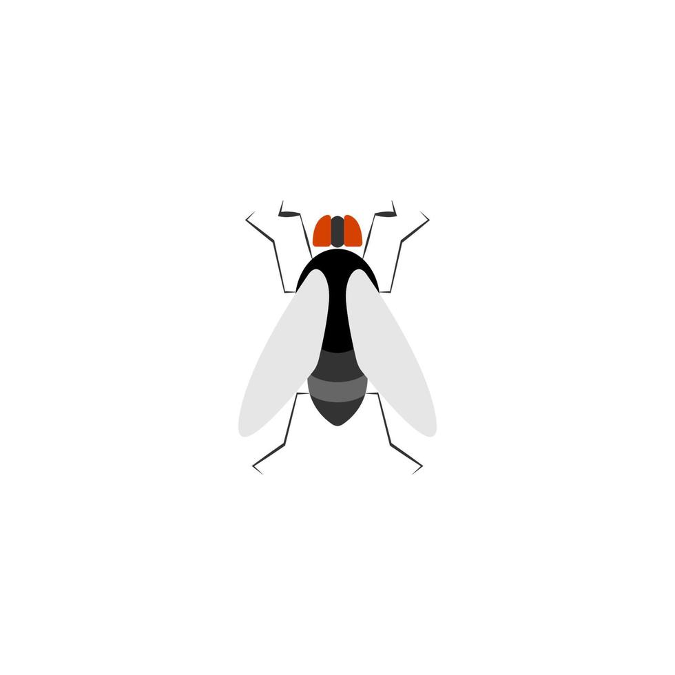fly vector icon illustration design