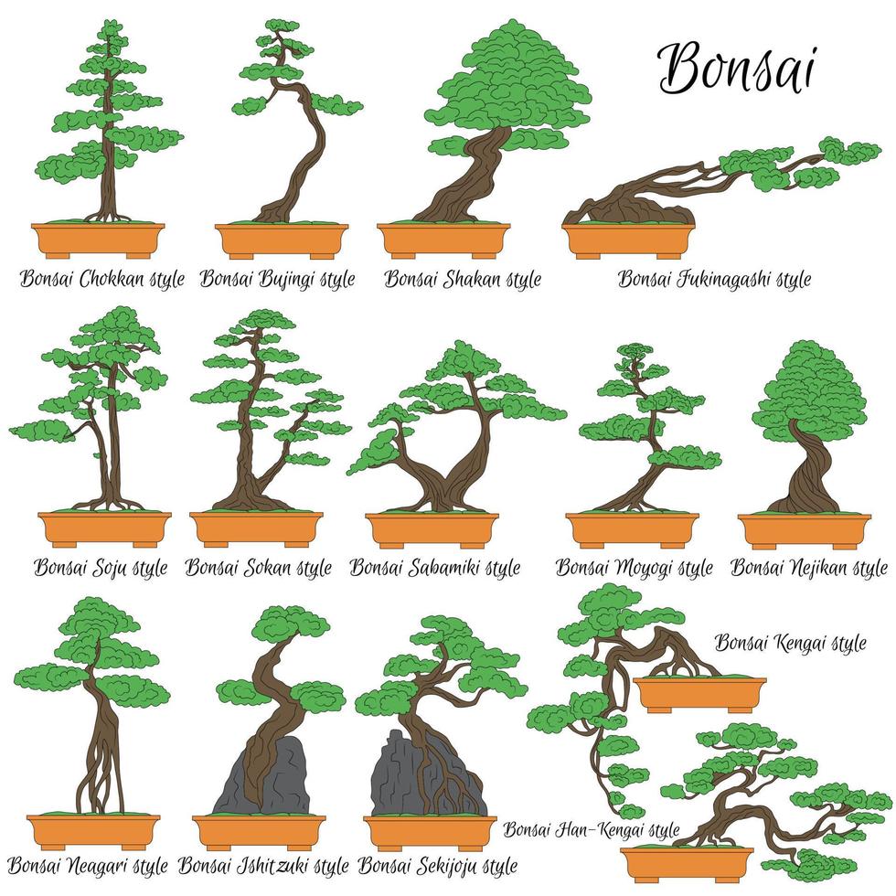 Bonsai. Different styles of miniature trees. The art of growing dwarf plants. vector