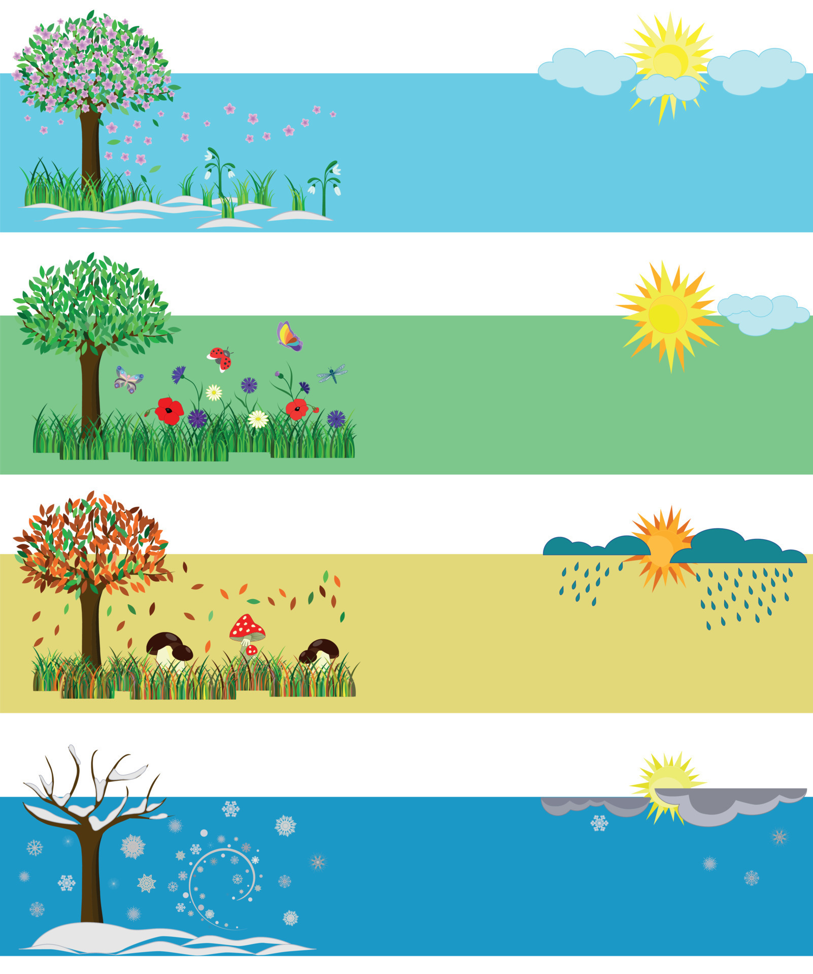 Four seasons. Spring, Summer, Fall, Winter. Set of vector illustrations