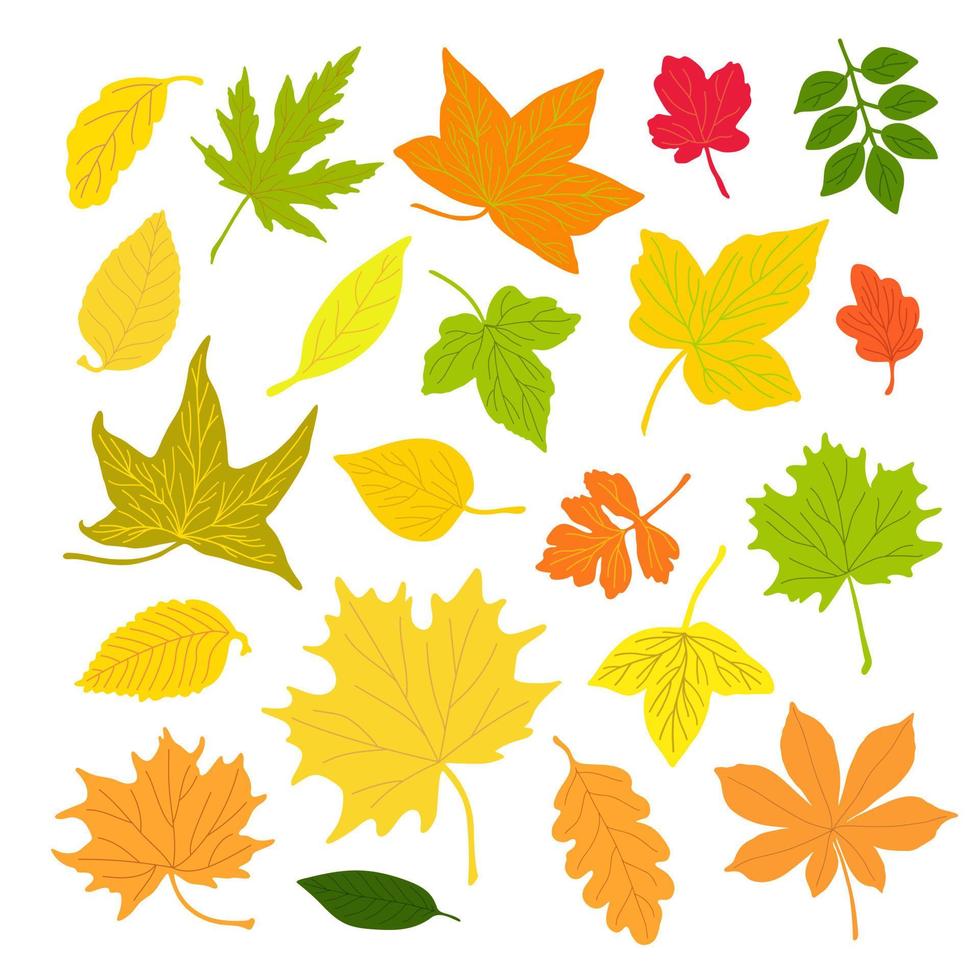 hojas de otoño establecen ilustración de estilo plano de concepto minimalista vectorial simple, elementos florales naturales dibujados a mano multicolor establecidos para invitaciones, tarjetas de felicitación, folleto, decoración de vacaciones de otoño vector