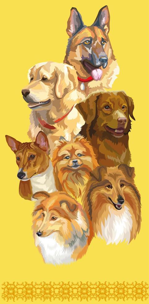 cartel vertical de diferentes razas de perros ilustración vectorial amarillo vector