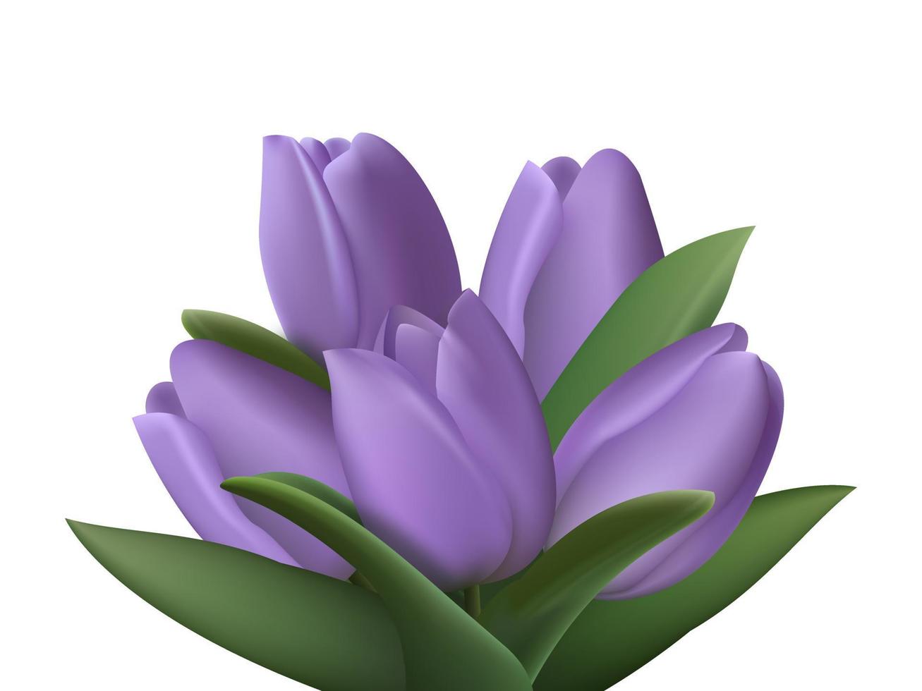 Realistic purple 3d bouquet of five tulip flowers on white background. Vector illustration