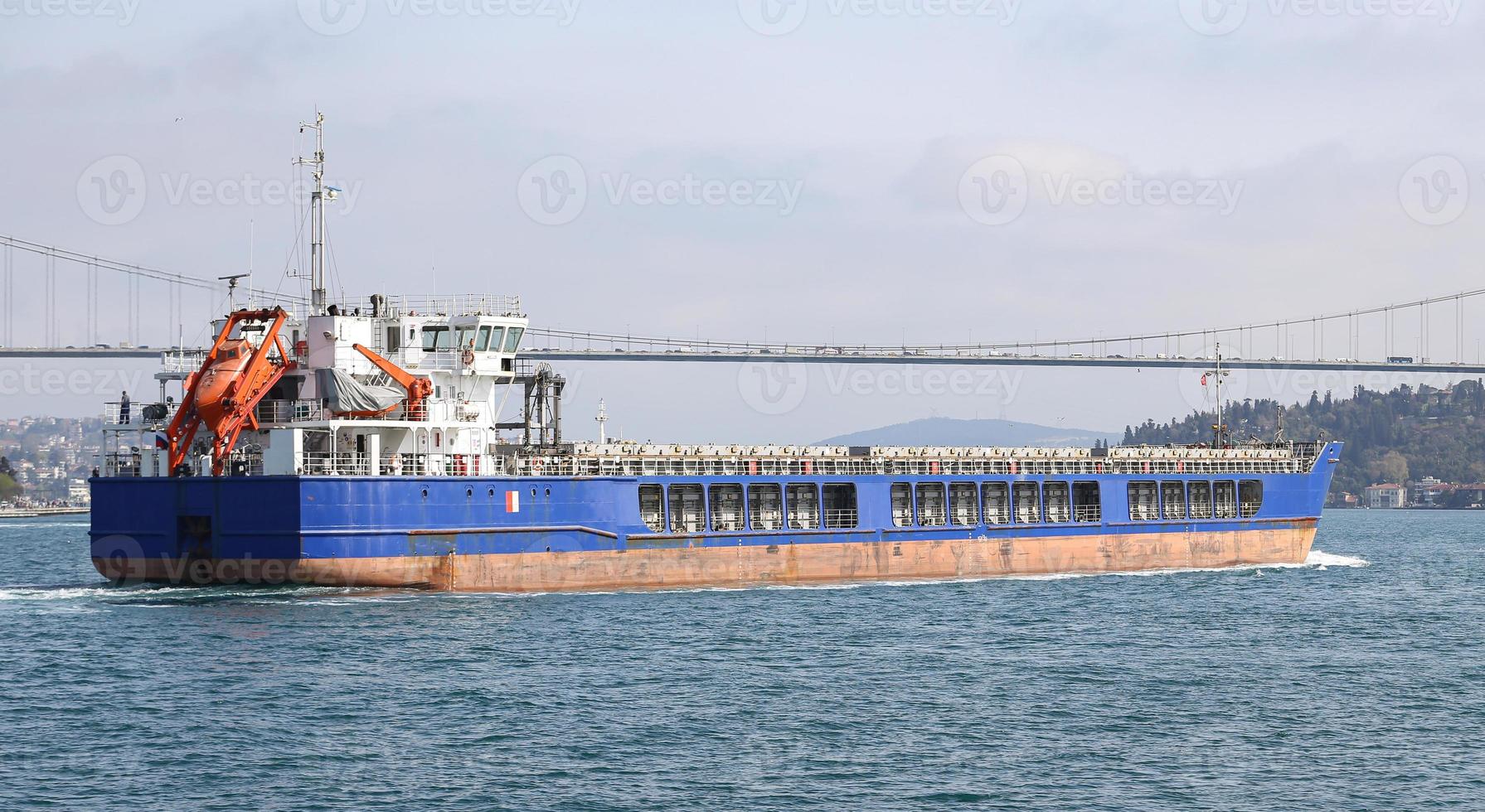 Cargo Ship in Sea photo
