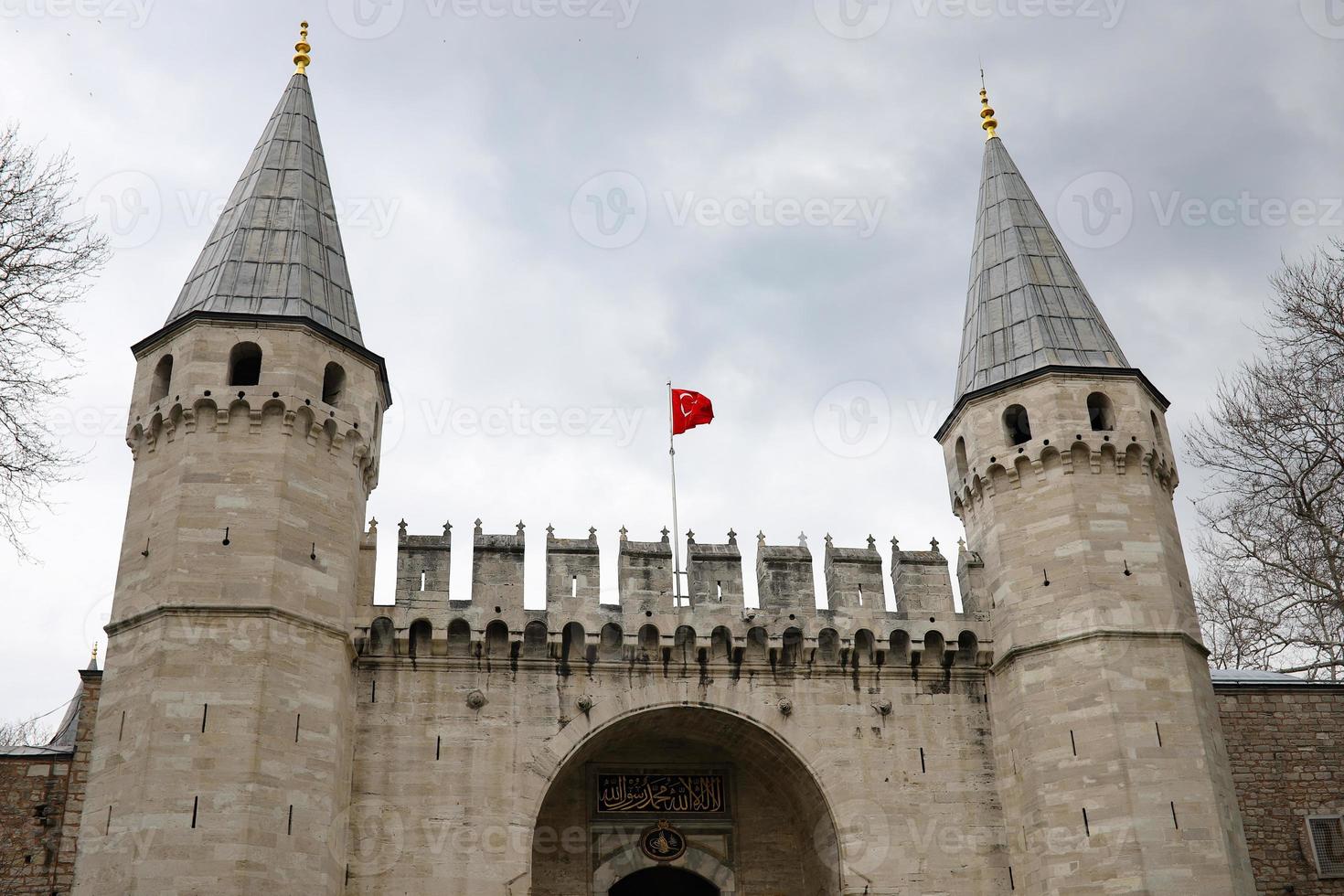 Door in Topkapi Palace, Istanbul, Turkey photo