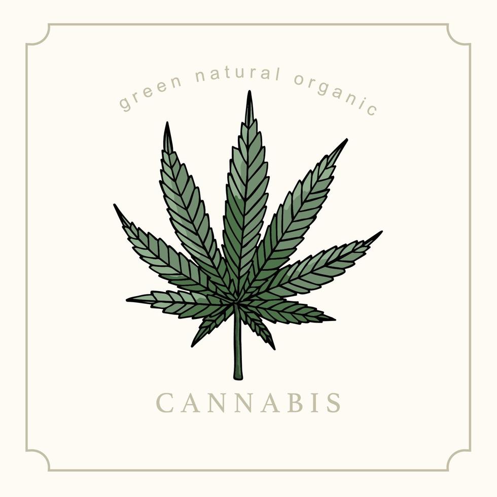 colección de fondo de cannabis con ilustración vectorial verde.editable para sitio web, invitación, postal y pegatina vector