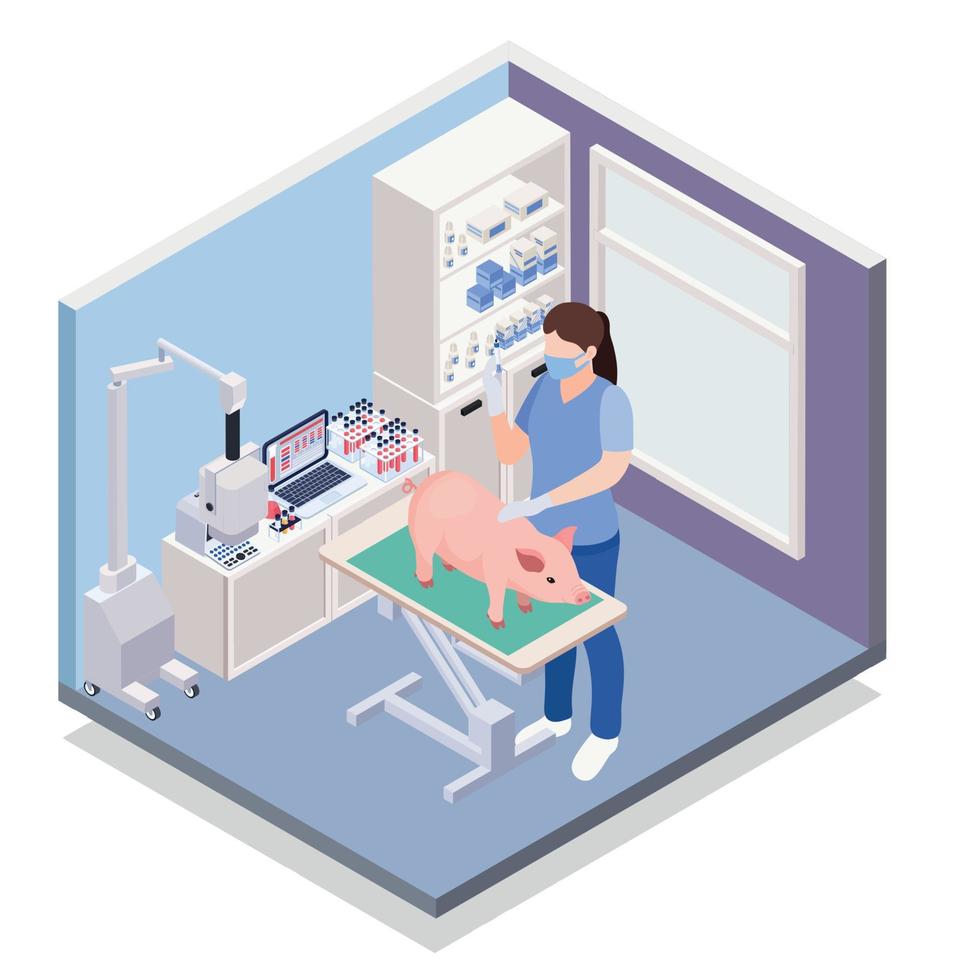 Isometric Pig Vaccination Composition vector