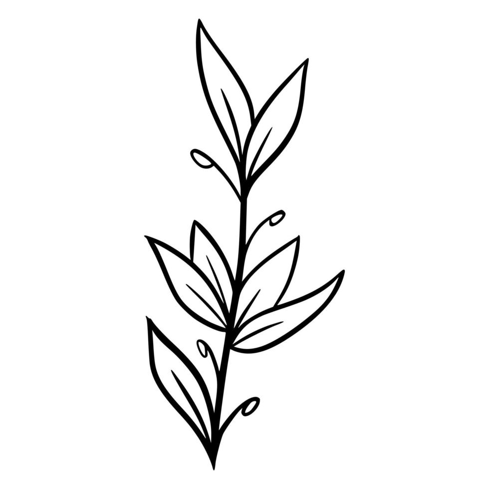 floral hand drawn vector illustration