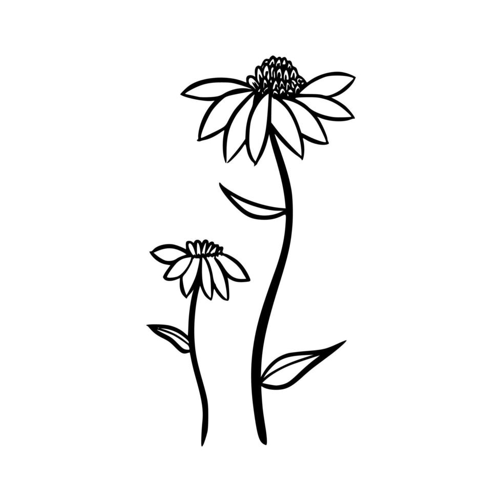 floral hand drawn vector illustration