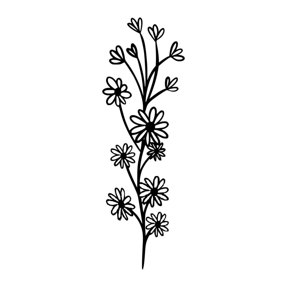 floral hand drawn vector illustration