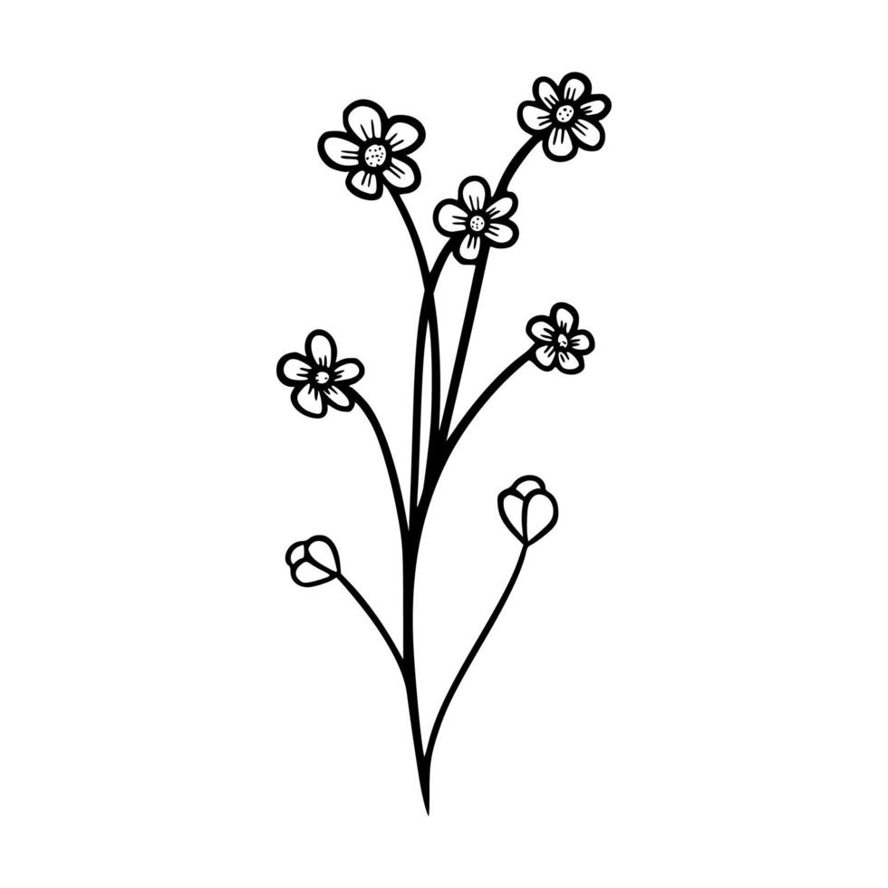 ilustración vectorial floral dibujada a mano vector