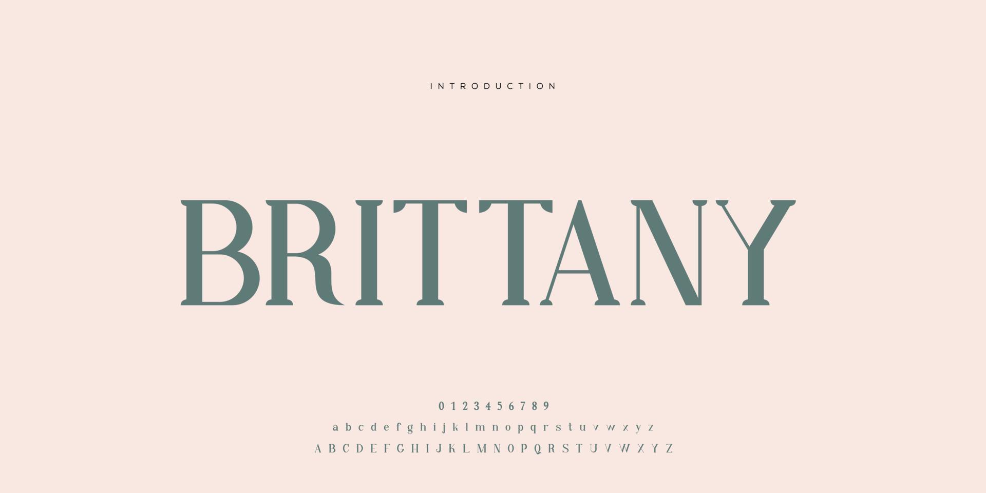 Elegant wedding font Pro Vector, Luxury Royal Abstract minimal modern font vector