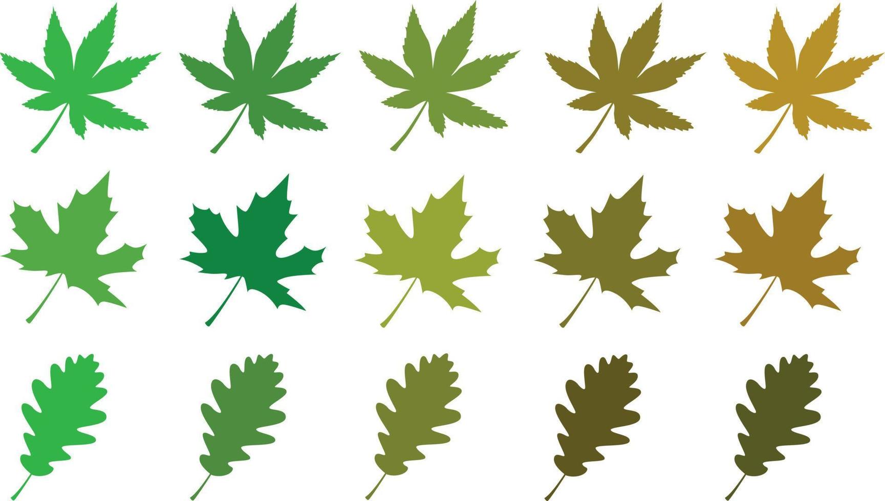 Vector icon illustration material of mulberry leaf and its leaf