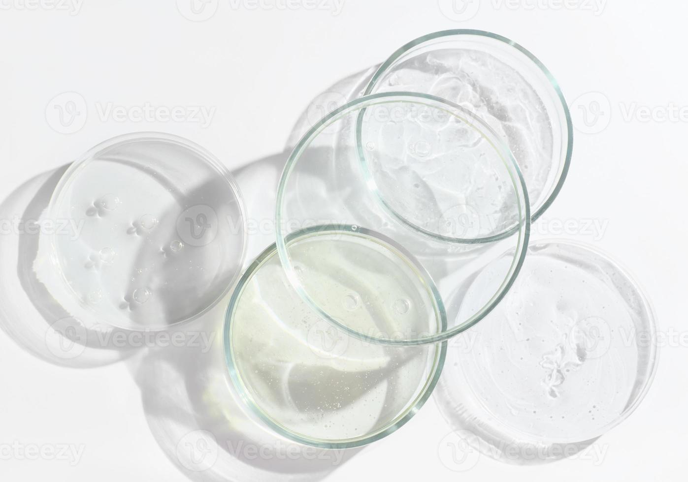 glass Petri dishes on a laboratory table. photo