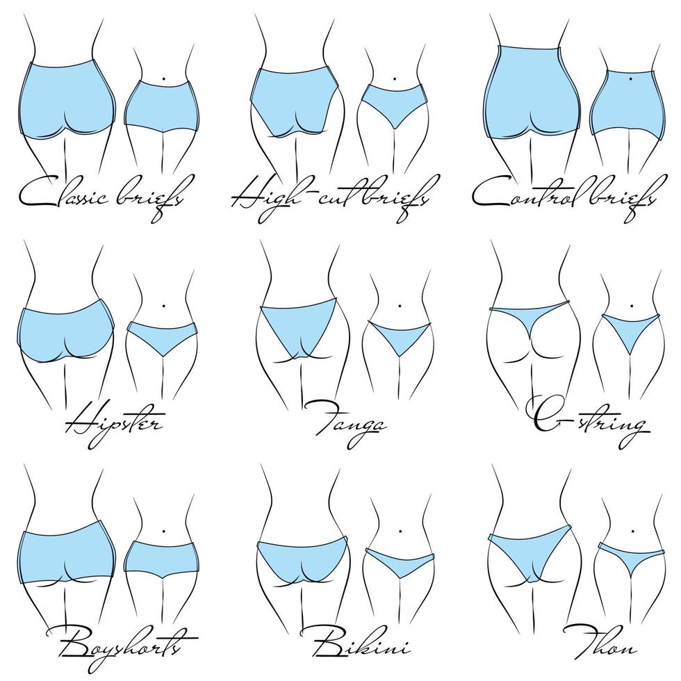 ilustración del diseño y variedad de bragas de mujer. modelos de lencería dibujados a mano. Las bragas se clasifican en varios estilos según los criterios. vector