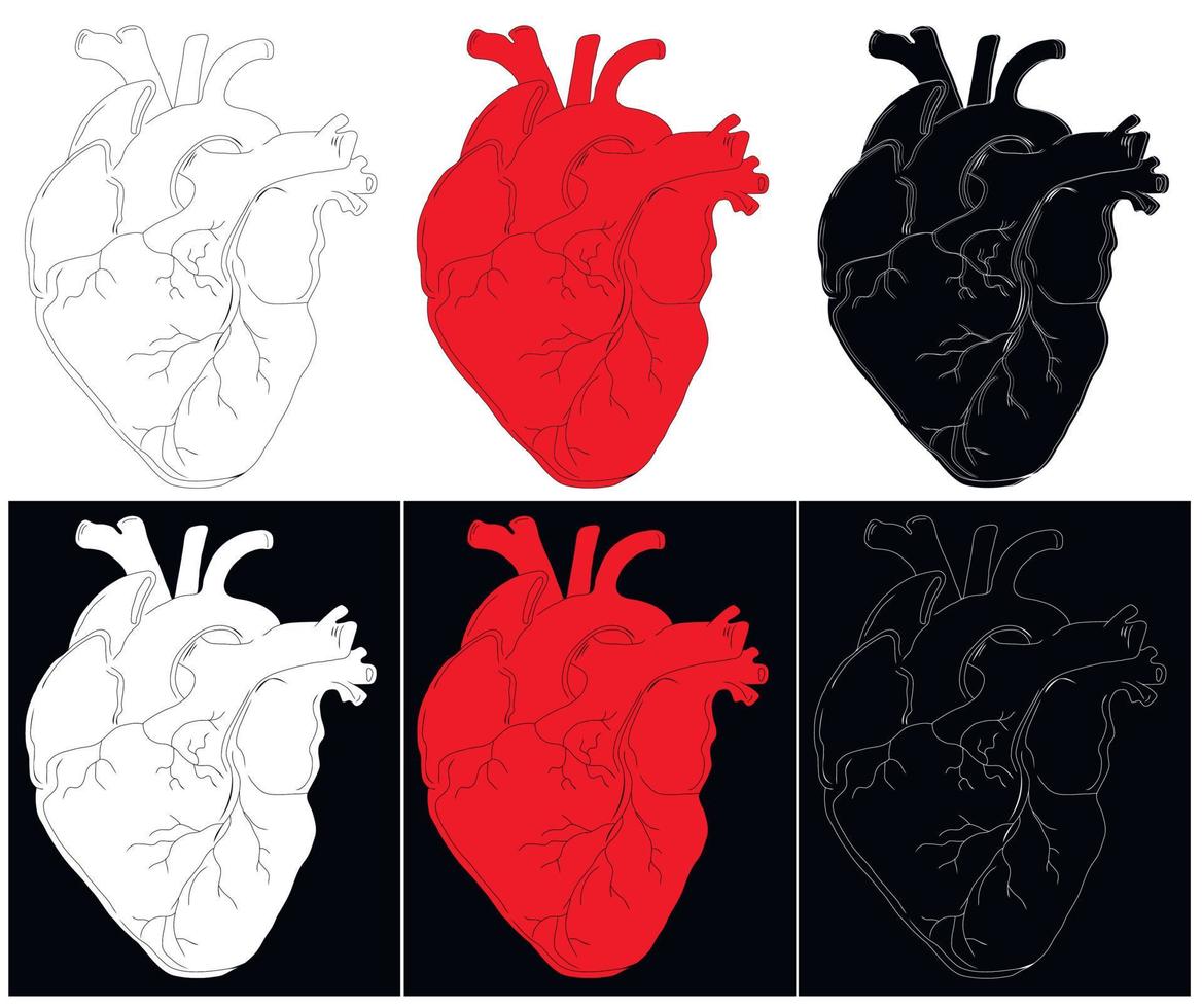 Anatomical drawing of the heart. Background for brochures, booklets, flyers, tattoo parlors. Set of red, white and black hand-drawn hearts. Vector illustration.