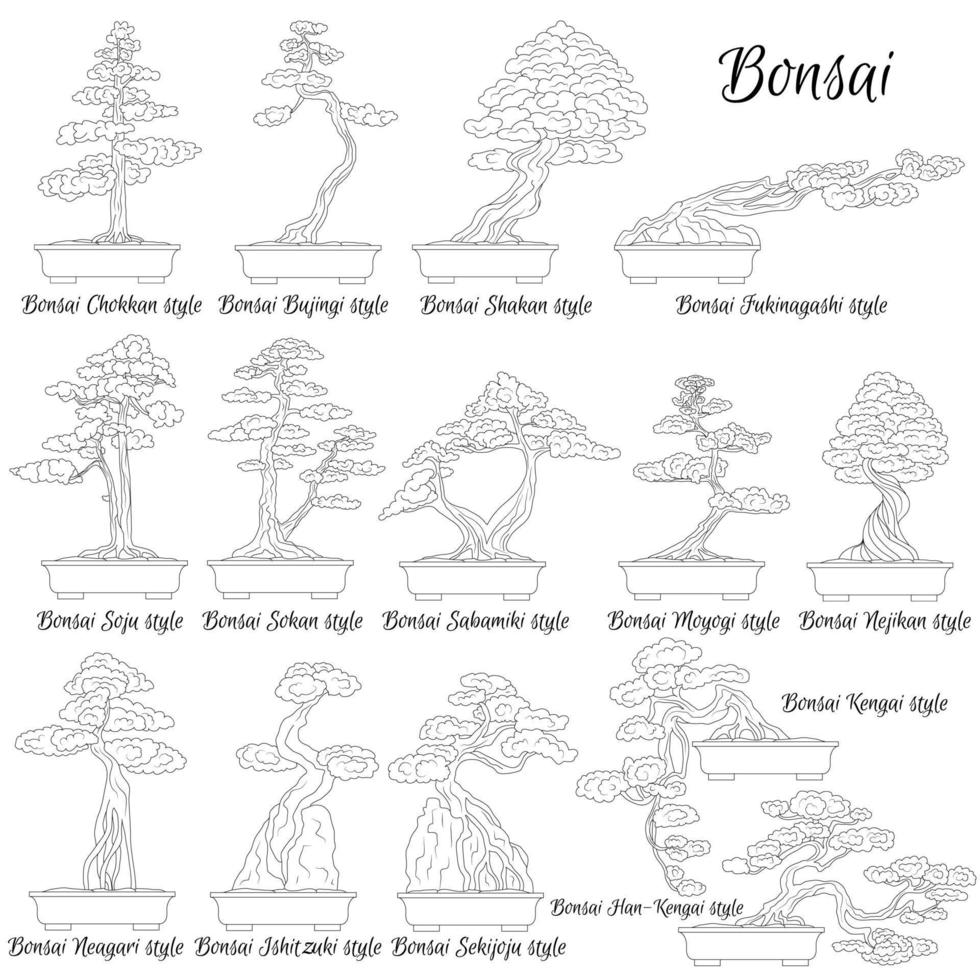 Bonsai. Different styles of miniature trees. The art of growing dwarf plants. vector