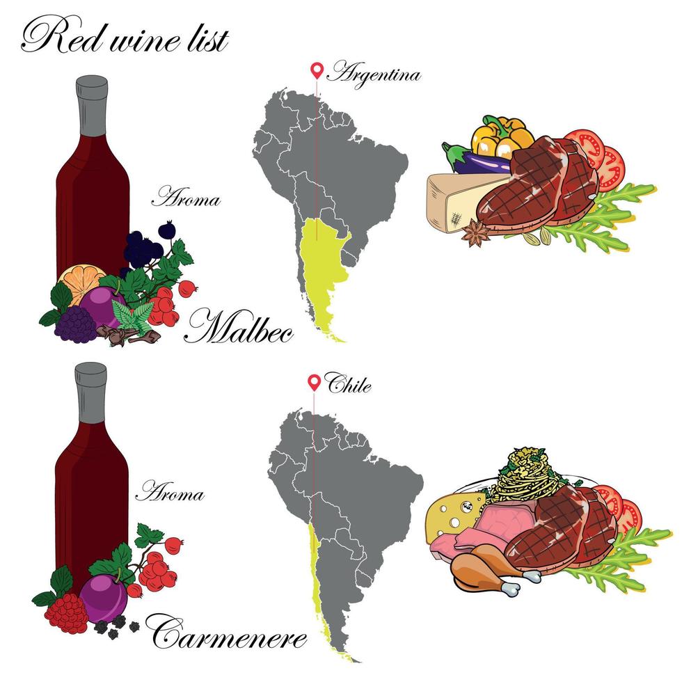 Malbec and Carmenere. The wine list. An illustration of a red wine with an example of aromas, a vineyard map and food that matches the wine. Background for menu and wine tasting. vector
