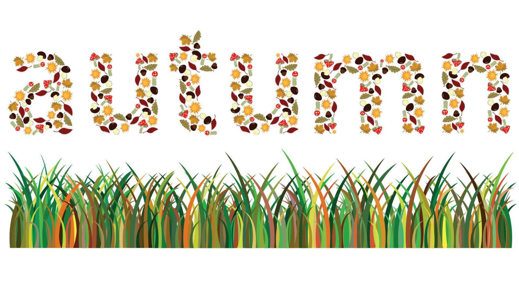 palabra otoño, consta de los elementos. letras mayúsculas. vector