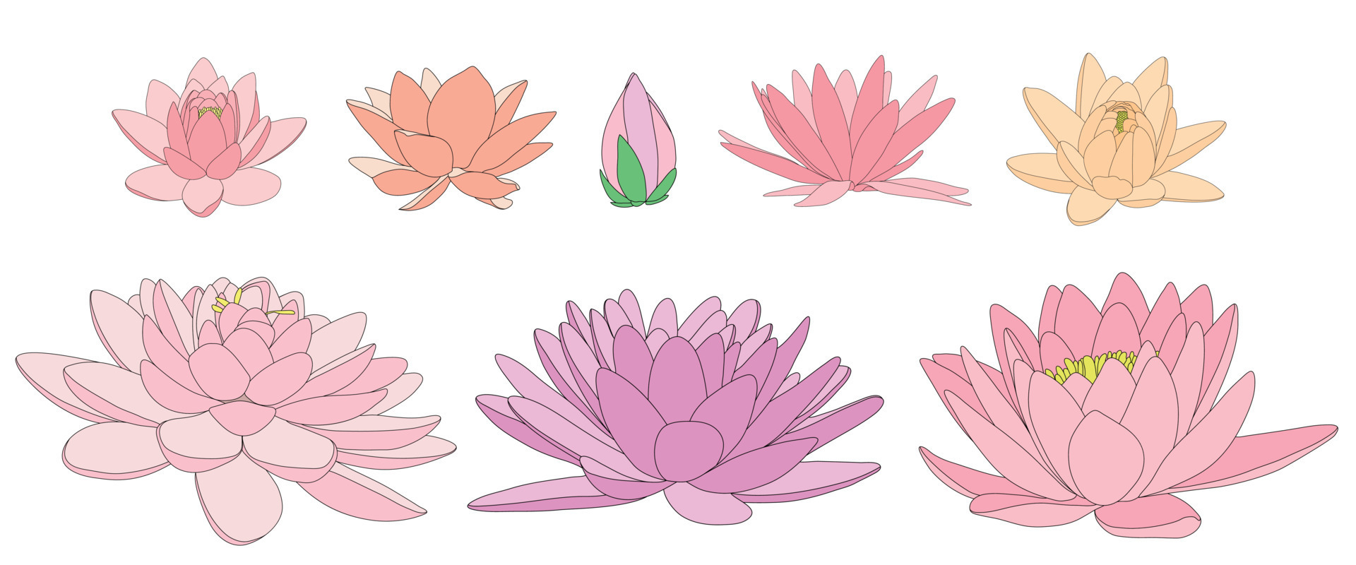 Types store of lotus