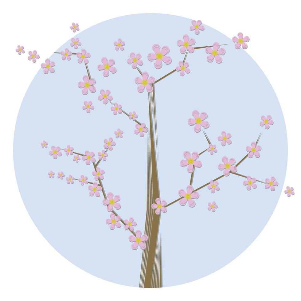 Sakura outline illustration. vector