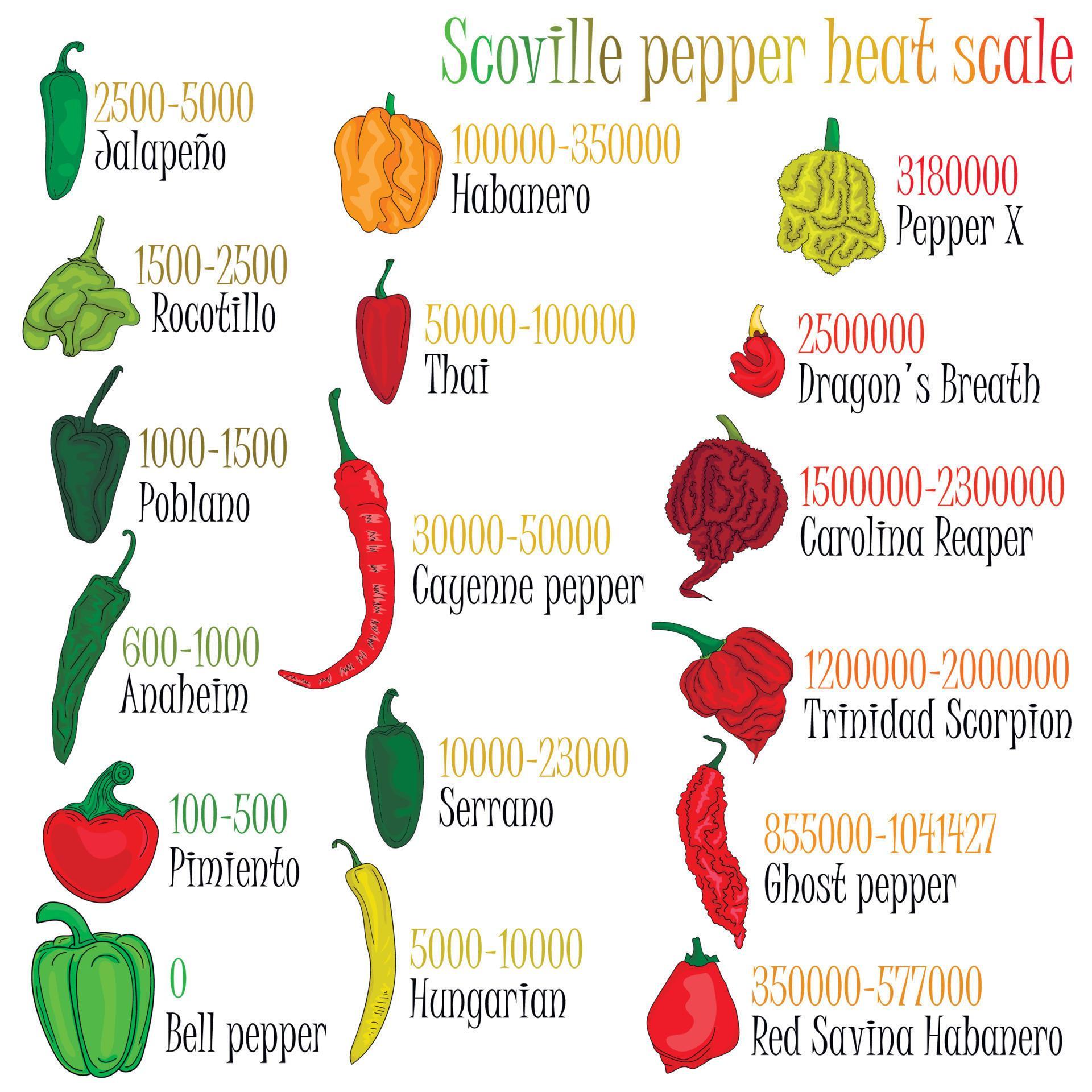 Scoville pepper heat scale. Pepper illustration from sweetest to very