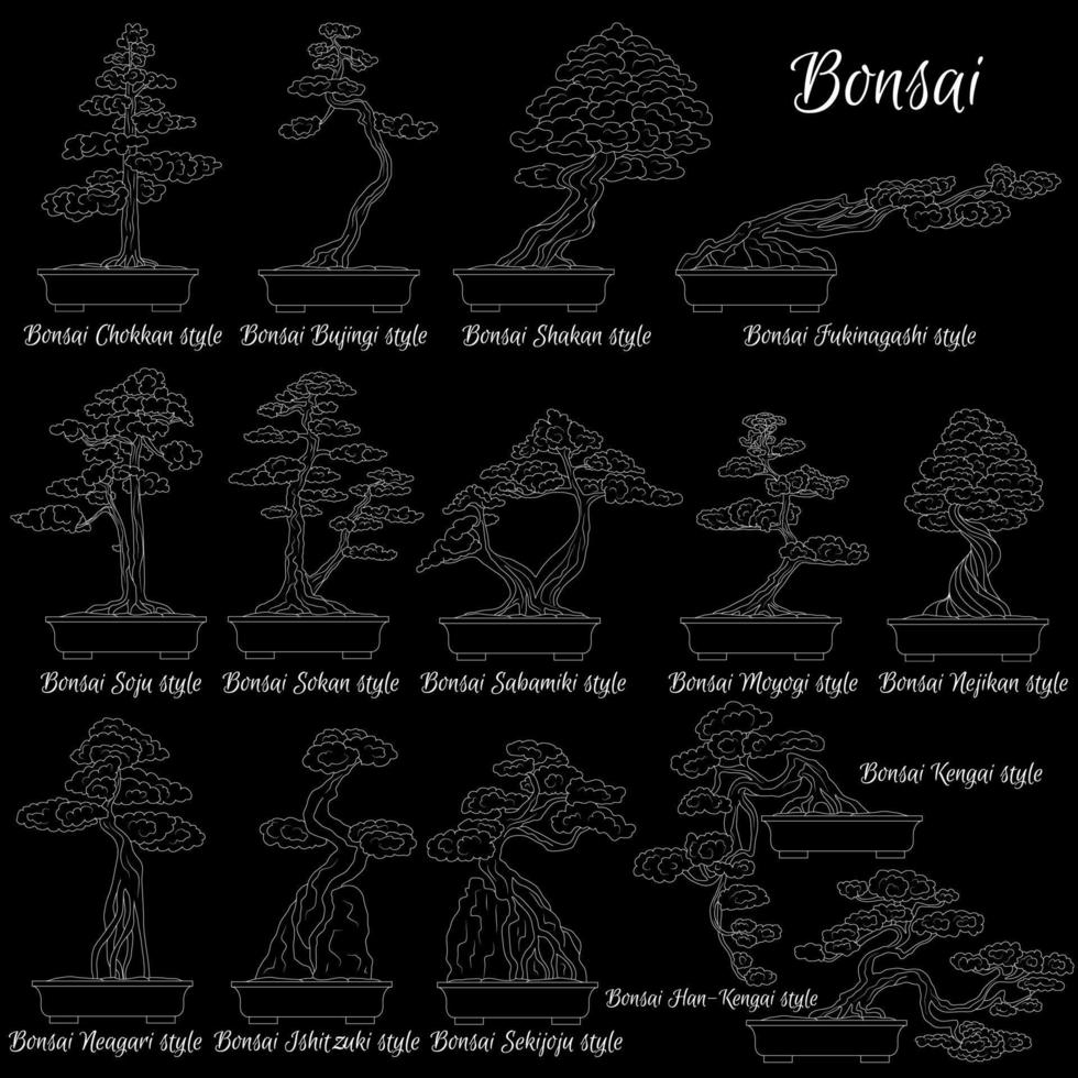 Bonsai. Different styles of miniature trees. The art of growing dwarf plants. vector