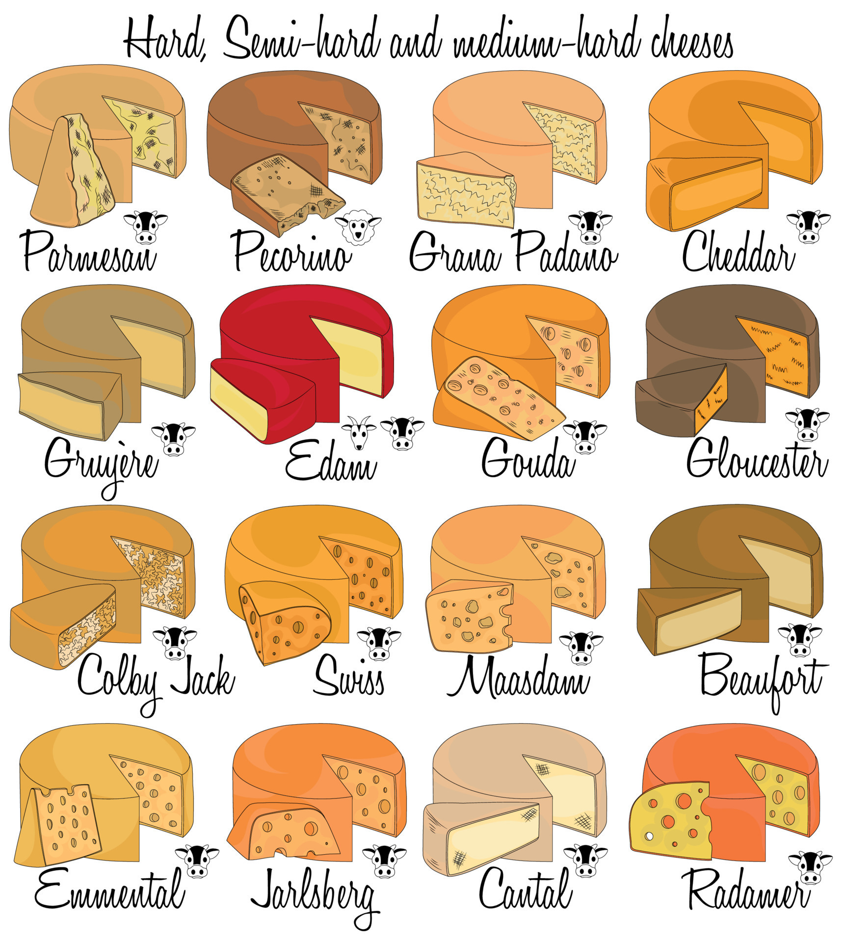 names of cheese