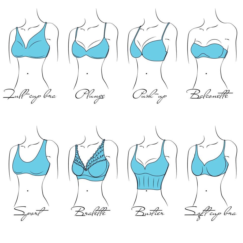 Illustration of the design and variety of women's bras. Hand-drawn lingerie models. Brasseries are classified into various styles based on criteria. vector