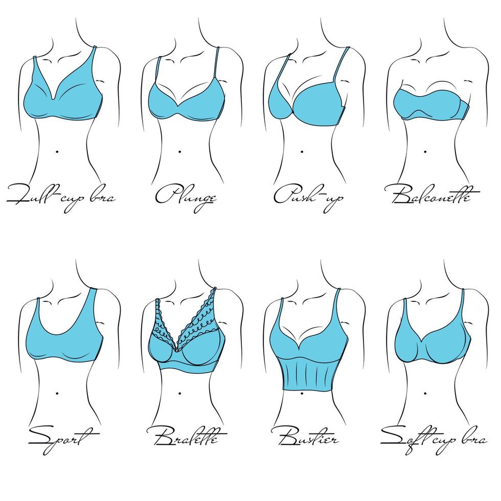 Illustration of the design and variety of women's bras. Hand-drawn lingerie  models. Brasseries are classified into various styles based on criteria.  8383006 Vector Art at Vecteezy