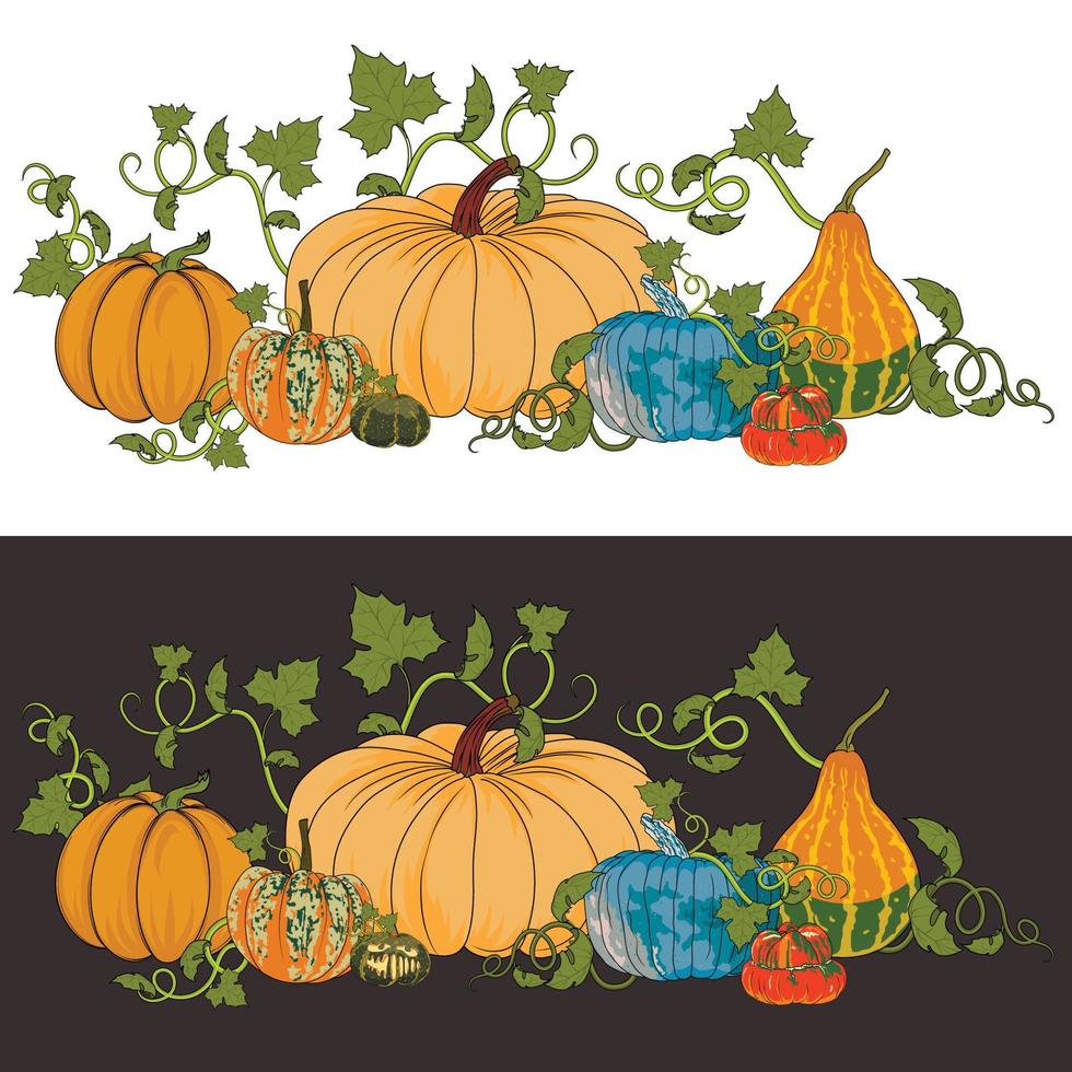 Two illustrations of pumpkins for Halloween and Thanksgiving Day on a white and dark colors. Background for fall fairs with different varieties of pumpkins. vector