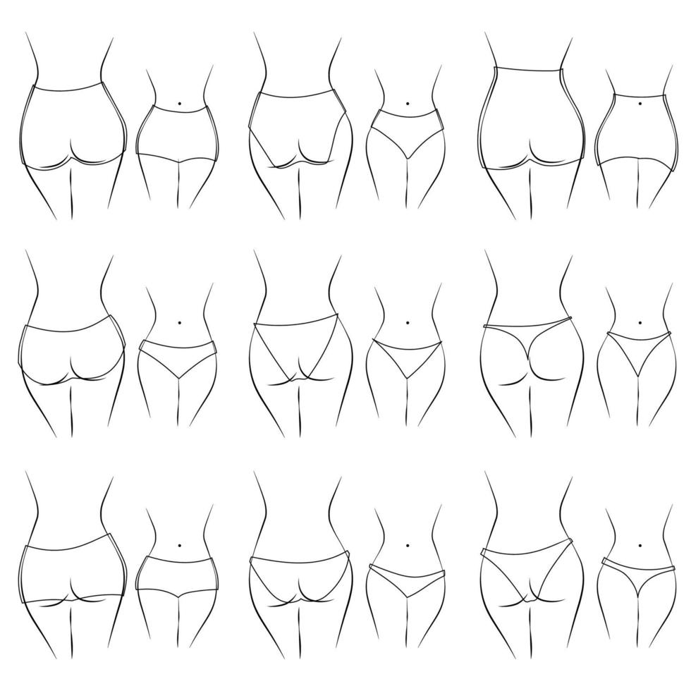 ilustración del diseño y variedad de bragas de mujer. modelos de lencería dibujados a mano. Las bragas se clasifican en varios estilos según los criterios. vector