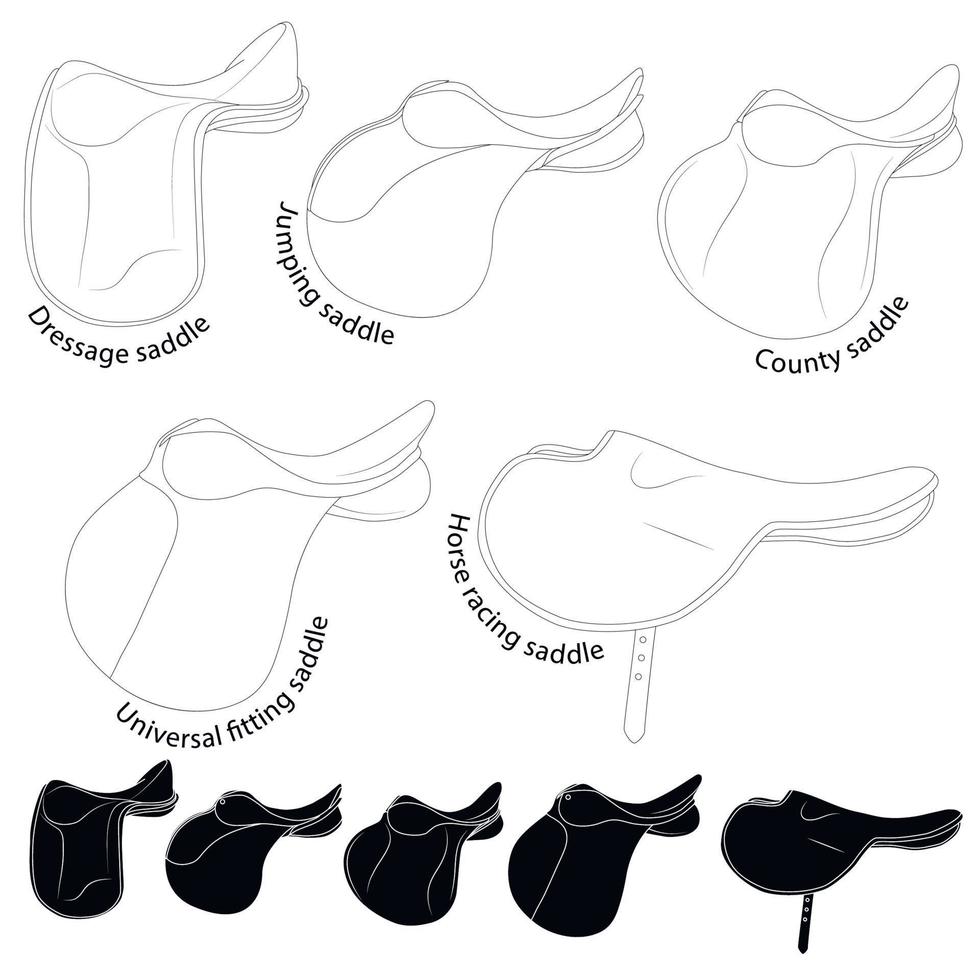 Saddles for riding. Black and white illustration types of saddles. Similarities and differences for study in specialized educational institutes and sports sections. Web icons. vector