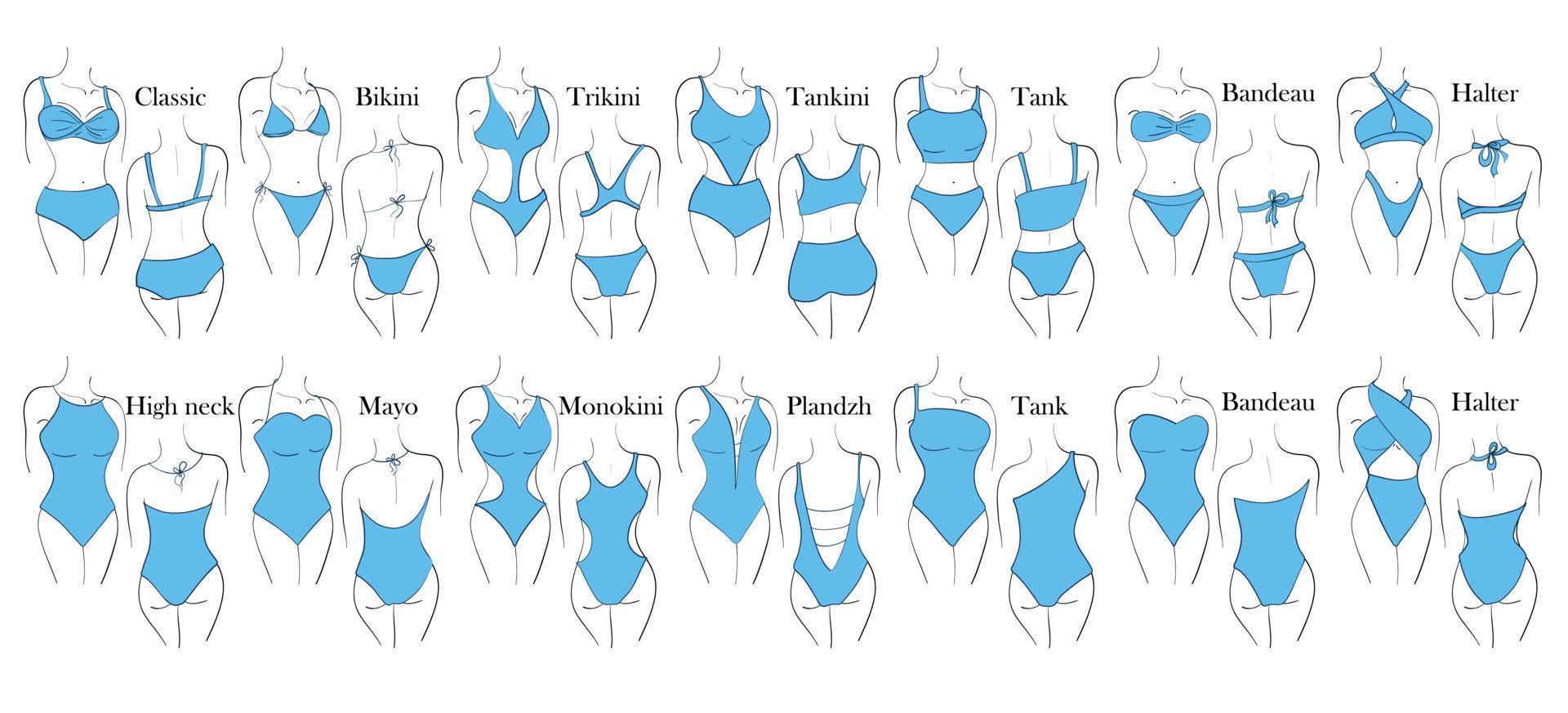 Types of women's swimwear on the figure. Illustration of a one-piece and a two-piece swimsuits with a name and an example of a back and front view. vector