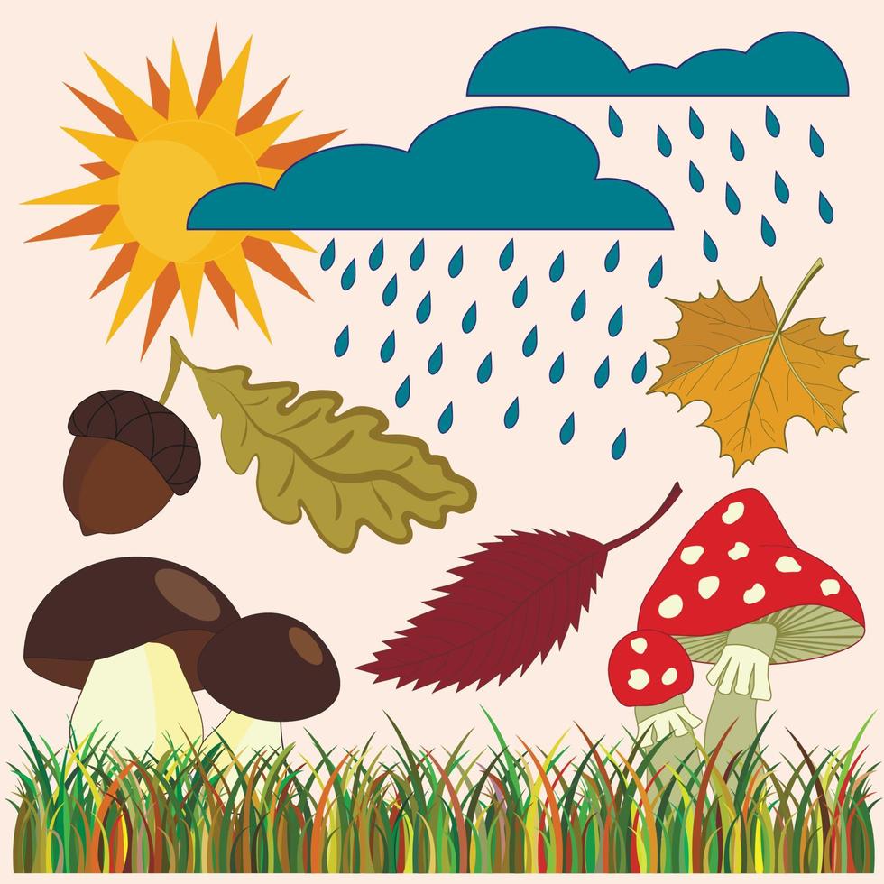 Autumn with mushrooms and leafs. Four seasons. vector