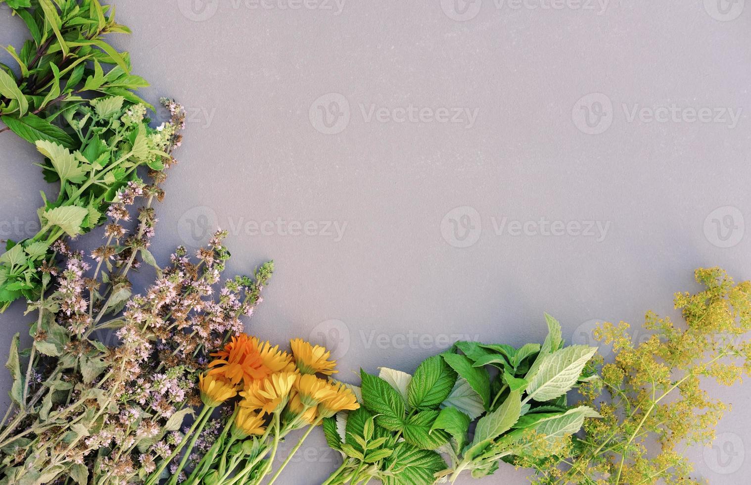 healing herbs on a table. for relax and calm mood. photo