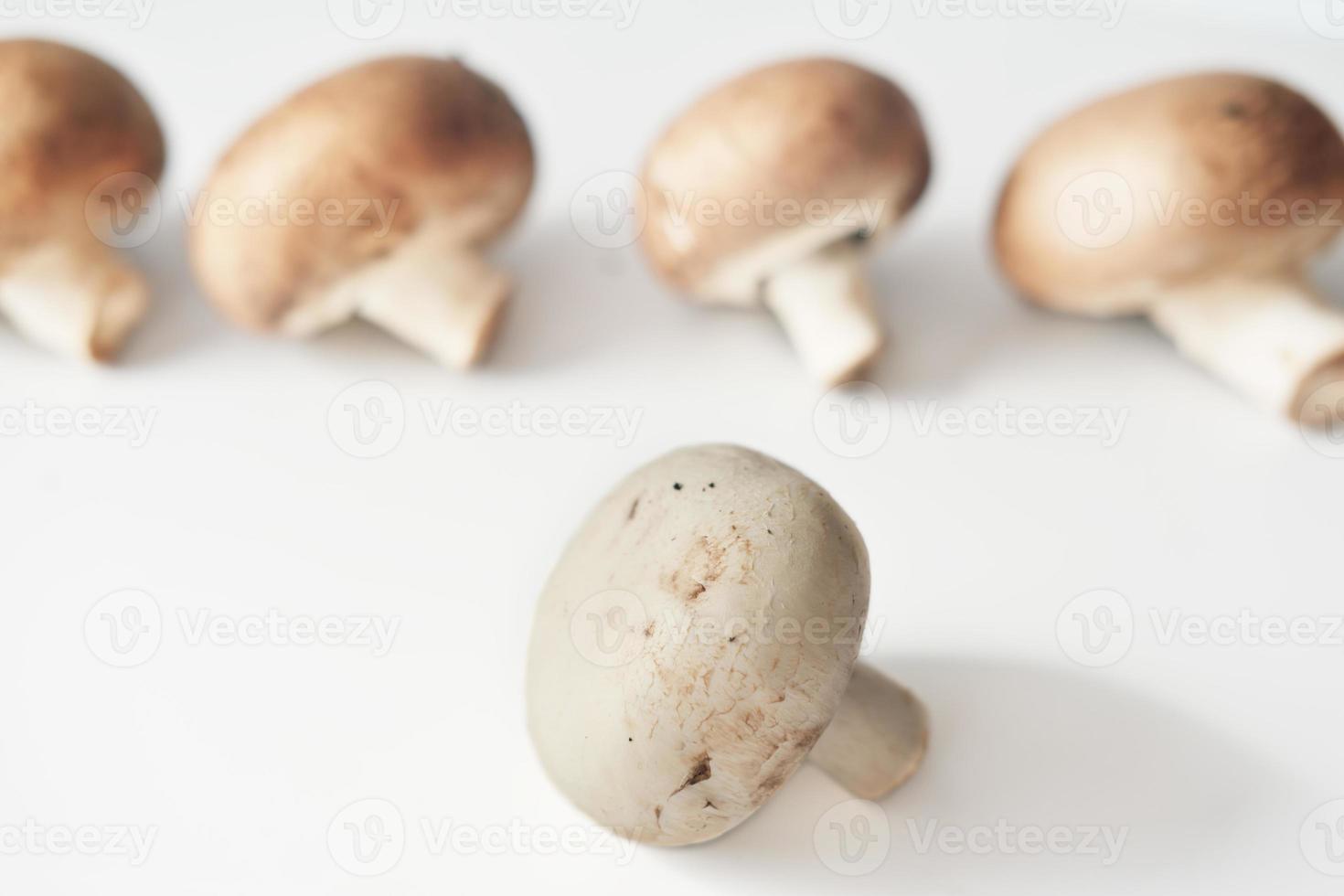 close up view of forest mushrooms. vegetarian food ingredient. high protein food photo