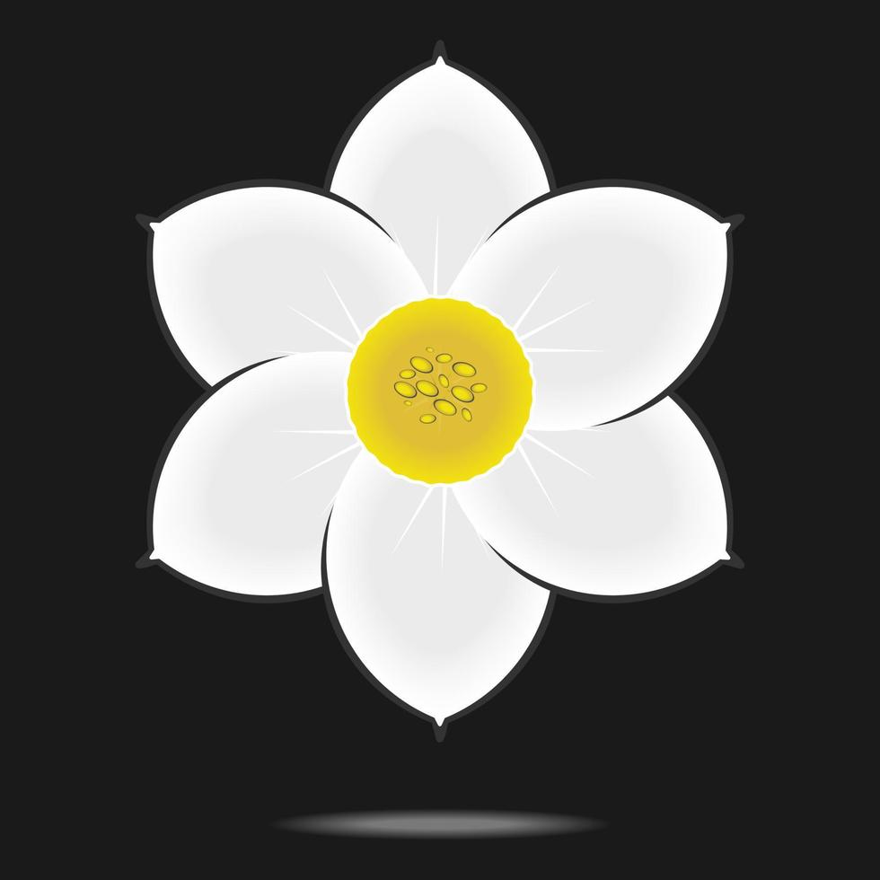 flor de narciso aislada sobre fondo negro.ilustración vectorial vector